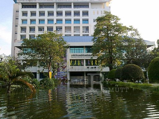 flood@RMUTT (8).jpg